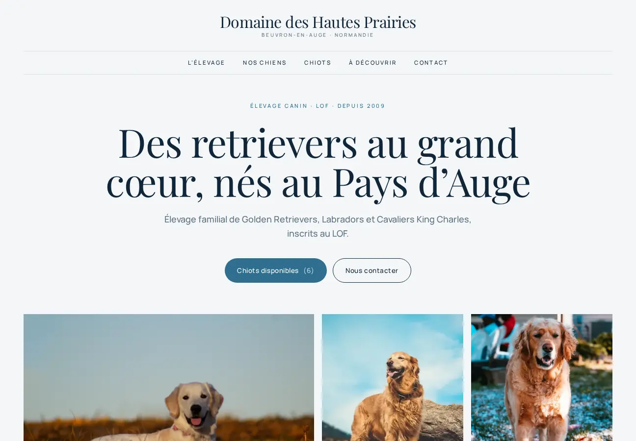 Aperçu du template : domaine-des-hautes-prairies.elevage-studio.fr